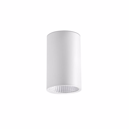 Faretto led cilindro da soffitto 25w 2700k metallo bianco