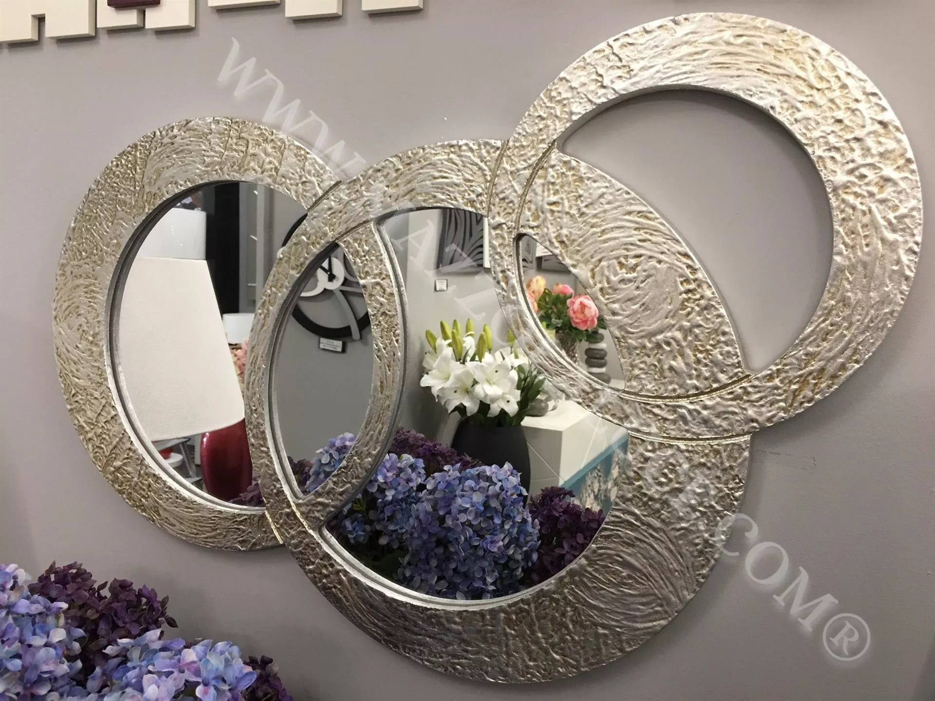 Specchio da parete design cerchi 74x50 argento oro anticato