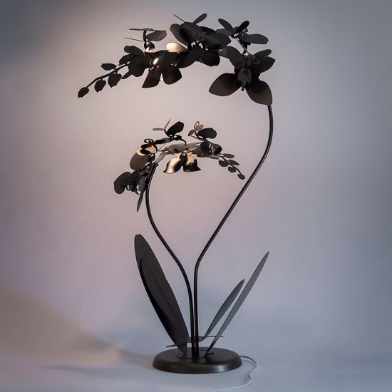 Orchidea lampada da terra bronzo