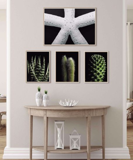 Quadretto cactus 30x40 stampa fotofrafica cornice legno