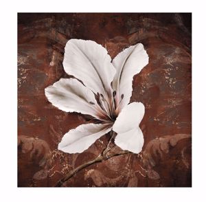 Quadro fiore 120x120 giglio bianco stampa su tela