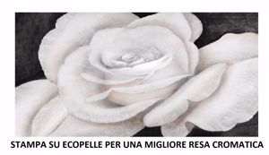 Quadro rosa bianca sbocciata 140x70 stampa su ecopelle alta qualità