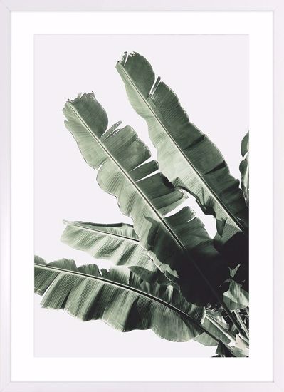 Quadro tropicale verticale moderno foglie di banano 53x73 cornice bianca