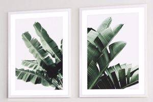Coppia quadri moderni soggiorno verticali foglie di banano 53x73 cornice bianca