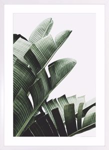 Quadro foglie di banano verticale 53x73 cornice bianca