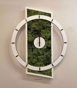 Orologio da parete natura 60x50 design moderno licheni verde stabilizzato