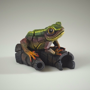 Rana africana soprammobile da tavolo verde arcobaleno