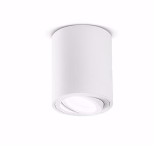 Faretto cilindro bianco da soffitto luce orientabile