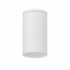 Faretto per esterno bianco cilindro da soffitto