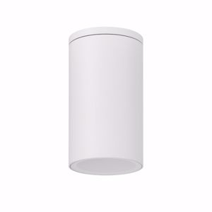 Faretto plafone bianco per esterno da soffitto cilindro gu10 220v ip54