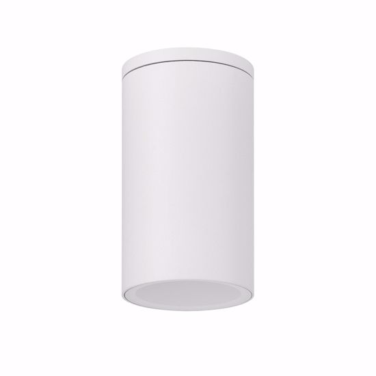 Faretto plafone bianco per esterno da soffitto cilindro gu10 220v ip54