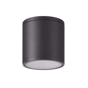 Faretto per esterno led da soffitto cilindro antracite