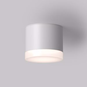 Piccola plafoniea lampada rotonda da soffitto bianca per esterno