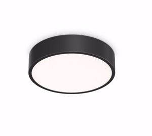 Ideal lux ray pl d30 plafoniera da esterno nera ip44 led 13w 3000k-4000k nera