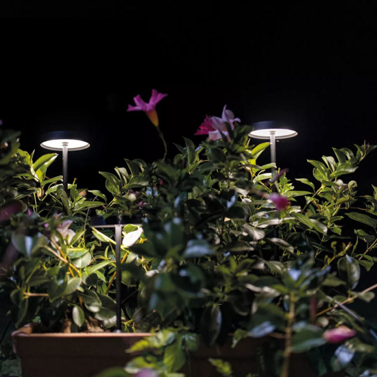Lampioncino da esterno linea light pistillo nero led 3000k ip65
