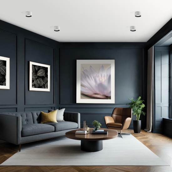 Nasso sforzin plafoniera di gesso bianca interno alluminio nero