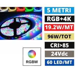 Striscia led rgb+white 4000k bobina 5mt 24vdc 19,2w cri85