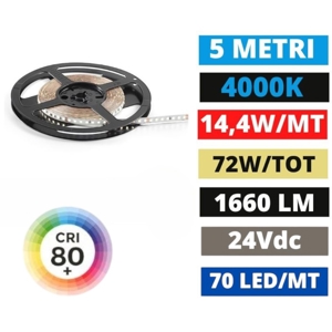 Striscia led 24vdc 14,4w-mt 4000k bobina 5 mt gea luce