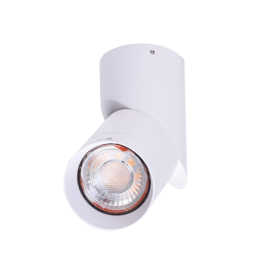 Faretto orientabile da soffitto bianco cilindro fp