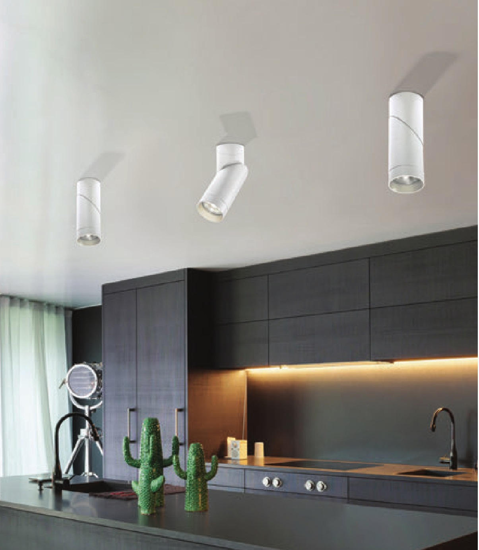 Faretto orientabile da soffitto bianco cilindro fp
