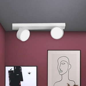 Plafonoera bianca con due luci led orientabili toplight