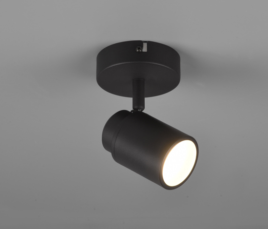 Faretto per esterno da parete soffitto nero orientabile