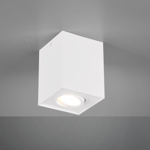 Faretto da soffitto orientabile bianco per ingresso