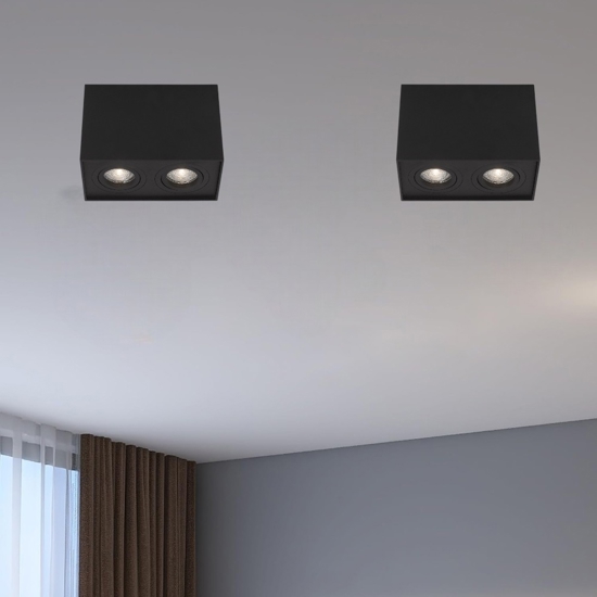 Plafoniera da soffitto per cucina 2 luci orientabili