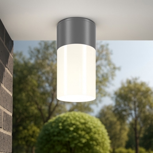 Maytoni willis plafoniera da esterno per soffitto design moderno ip54