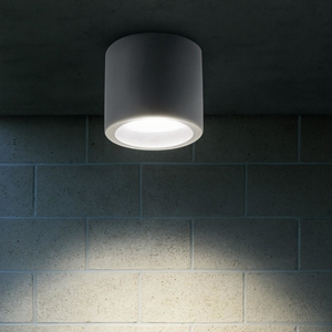 Faretto da esterno a soffitto cilindro grigio led 12w 4000k ip65