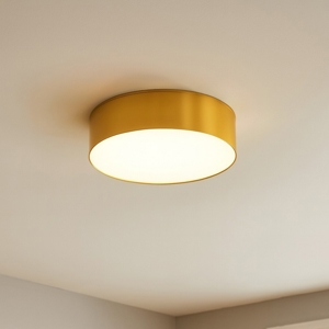 Mini plafoniera da cucina led 3000k rotonda oro led 3000k