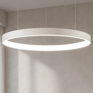 Visualizza i dettagli per Lampadario anello bianco 100cm led 60w 2700k a 6000k dimmerabile Lampadario anello bianco 100cm led 60w 2700k a 6000k dimmerabile