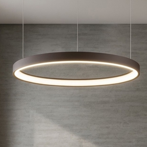 Visualizza i dettagli per Lampadario moderno led 40w 3000k cerchio marrone spazzolato Lampadario moderno led 40w 3000k cerchio marrone spazzolato