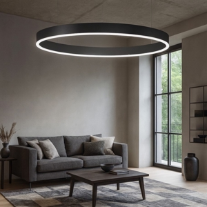 Visualizza i dettagli per Lampadario anello 100cm led 60w 2700k a 6000k dimmerabile Lampadario anello 100cm led 60w 2700k a 6000k dimmerabile