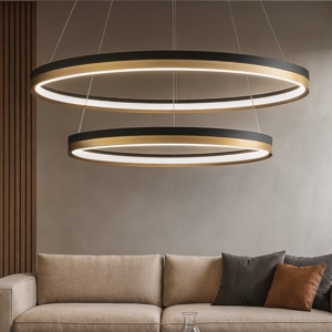 Visualizza i dettagli per Lampadario doppio cerchio nero oro 80cm led98w 30000k dimmerabile Lampadario doppio cerchio nero oro 80cm led98w 30000k dimmerabile