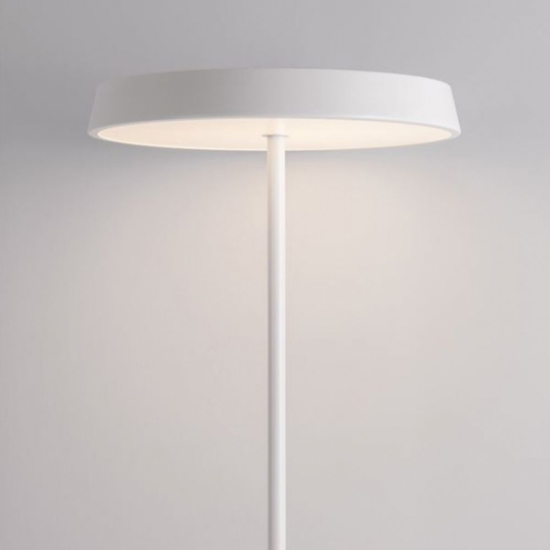 Lampada da terra minimalista led 3000k tondo per soggiorno