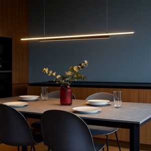 Visualizza i dettagli per Maytoni halo lampadario cucina led 48w da 3000k a 4000k sottile Maytoni halo lampadario cucina led 48w da 3000k a 4000k sottile