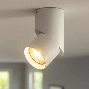 Faretto orientabile da soffitto bianco cilindro fp