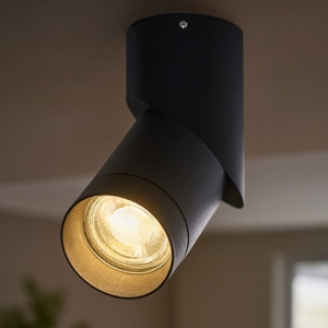 Faretto spot orientabile nero da soffitto per cucina