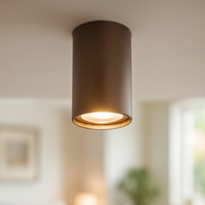 Faretto cilindro da soffitto marrone 