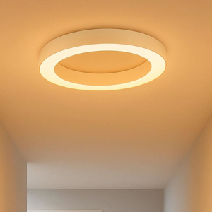Visualizza i dettagli per Piccola plafoniera moderna led 3000k 4000k bianca 60cm Piccola plafoniera moderna led 3000k 4000k bianca 60cm
