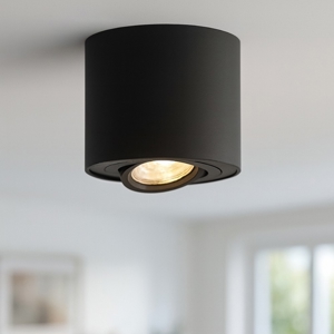 Faretto nero da soffitto per interni orientabile