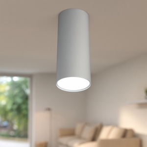 Faretto da soffitto cilindro grigio per cucina
