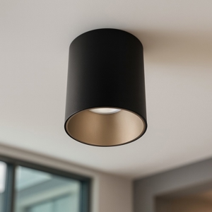 Faretto da soffitto nero argento cilindro