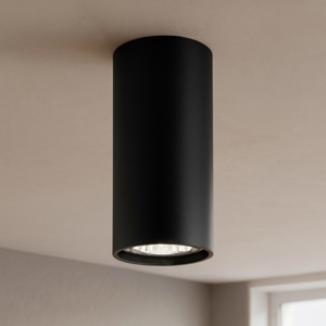 Faretto nero cilindro da soffitto per interni