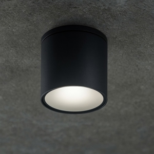 Isyluce faretto da soffitto per esterno cilindro antracite ip54