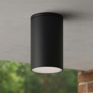 Faretto per esterni da soffitto cilindro antracite