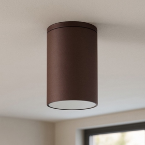 Faretto per esterno da soffitto cilindro marrone corten