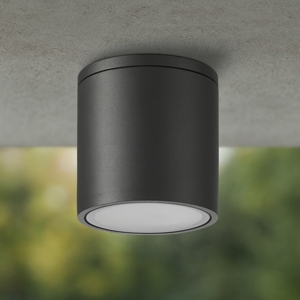 Faretto per esterno da soffitto cilindro antracite