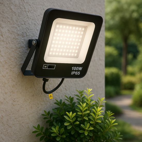 Faro da esterno ip65 100w 6000k dimmerabile orientabile fp